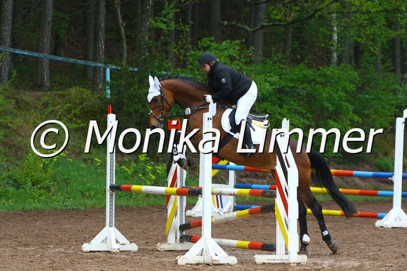 005L4855_Love Strory_Spring  Ax.JPG